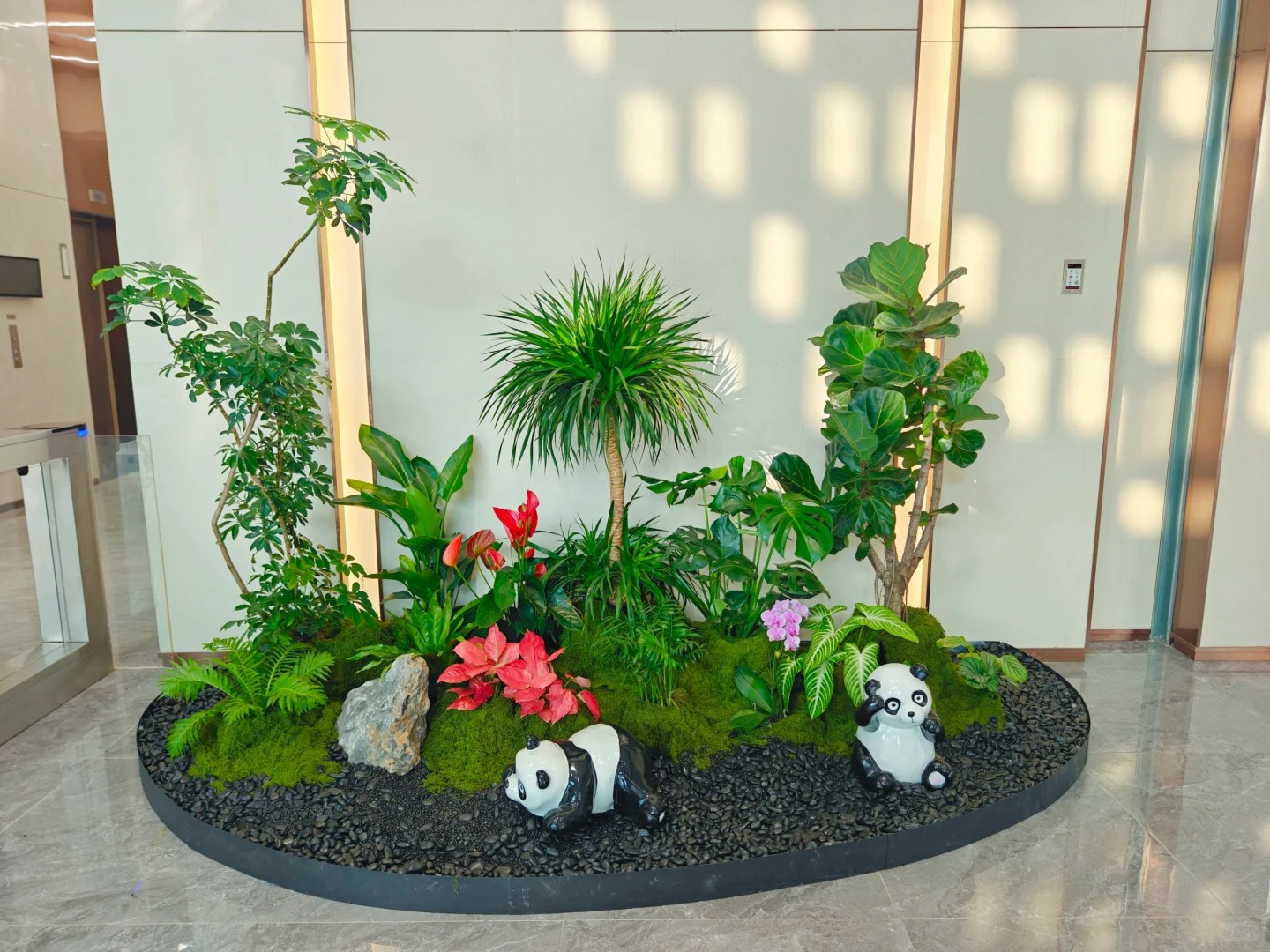 余姚植物出租,优质服务,让你的空间更添绿!